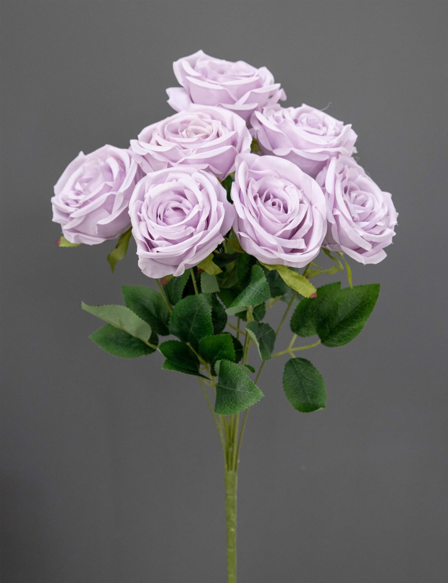 1255-33 Purple