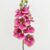 2524-16 Fuchsia