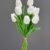 MA1437-12 White