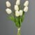 MA1437-9 Off White