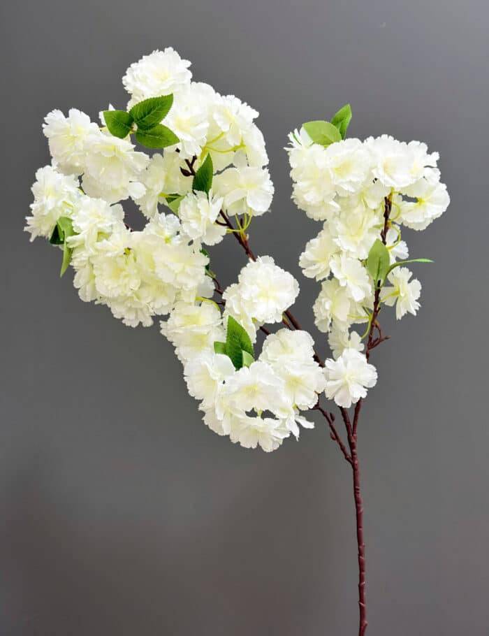 Cherry blossom 1617-14