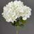 MA1740-30 Off White