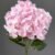 MA1740-30 Pink
