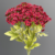 MA1740-33 Dark Red