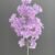MA6367 Purple