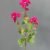 MA6498-20 Fuchsia