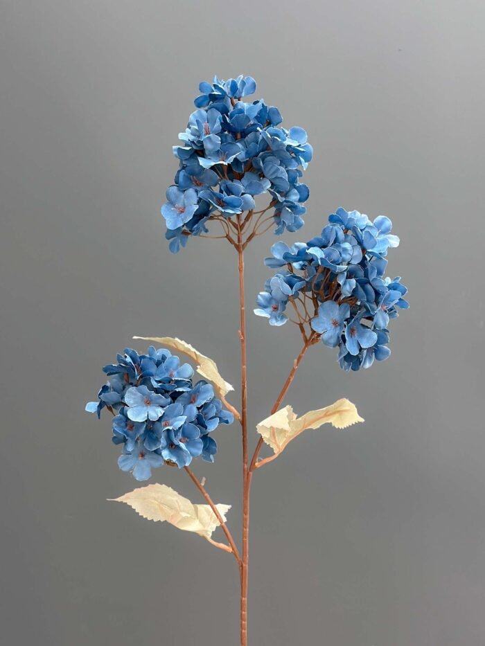 3F Hydreagea 6506