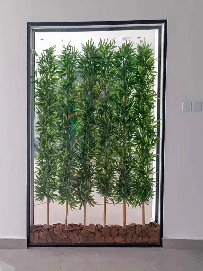 Experience the charm of the Bambu Plant in your space. Ideal for any decor, this exquisite plant will brighten up your living area. Shop now!