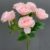 MA1255-33 Pink