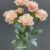 MA1255-35 Peach