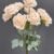 MA1255-35 Light Peach