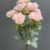 MA1255-35 Light Pink