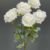 MA1255-35 White