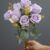 MA1255-61 Purple
