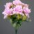 MA1255-69 Purple