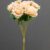 MA1255-70 Peach