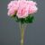 MA1255-70 Pink