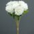MA1255-70 White