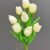 MA1437-12 Green White