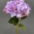 MA1740-29 Pink Purple