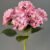MA1893-8 Gray Pink