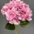 MA1893-8 Pink