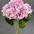 MA1893-8 White Pink