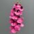 MA2524-51 Fuchsia