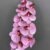 MA2524-51 S Purple