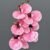 MA2524-52 Light Fuchsia