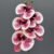 MA2524-52 White Fuchsia