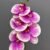 MA2524-52 W Purple