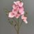 MA2524-75 Pink