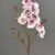 MA2524-75 Pink Purple