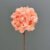 MA6509-1 S Pink