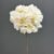 MA6509-2 White