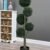 MA8323 Green