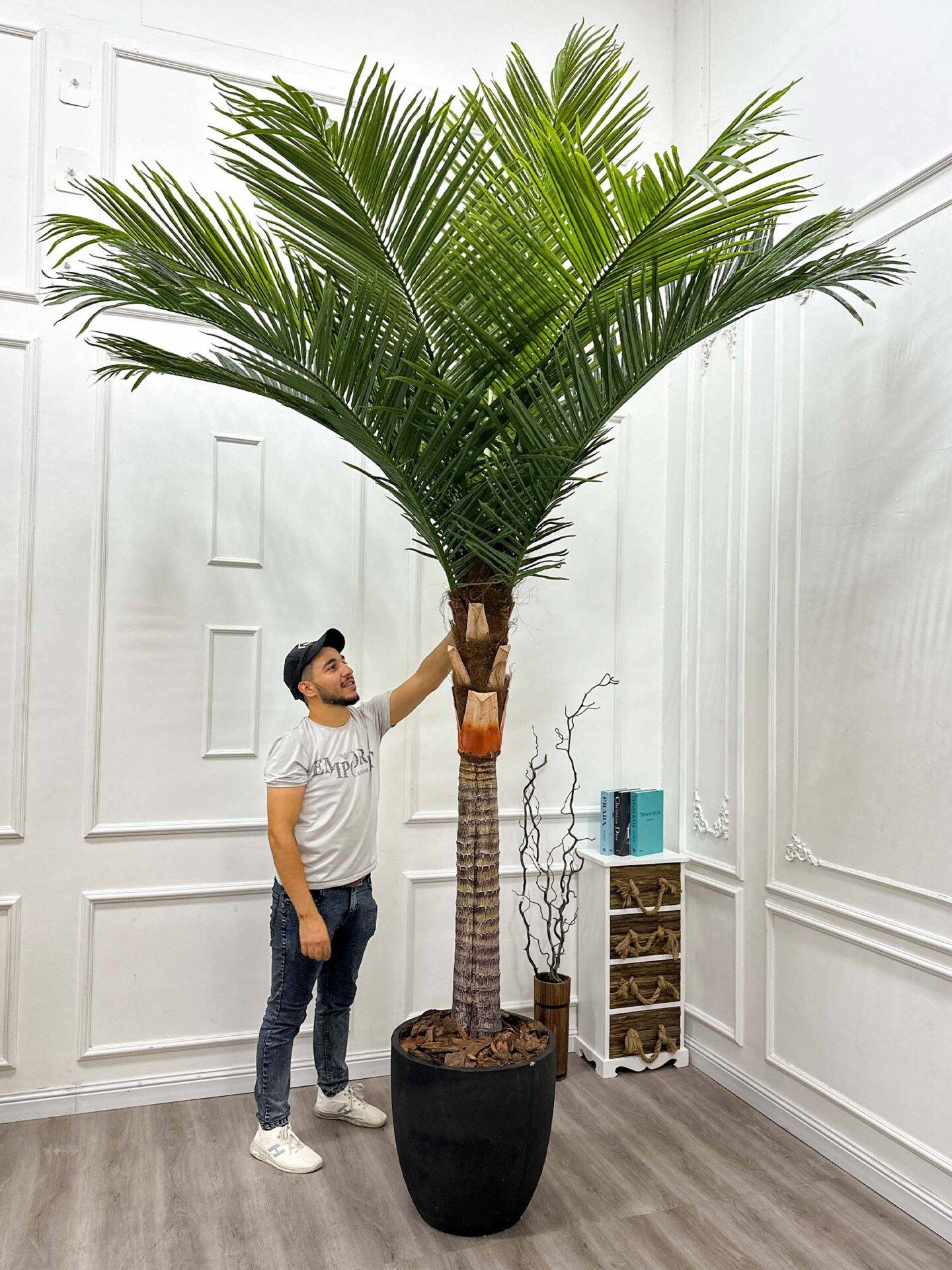 88-3-280 (2) COCO PALM TREE