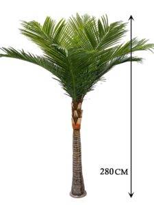 COCO PALM TREE