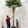 310 CM Premium Artificial Coco Palm Tree