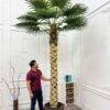 310 CM Artificial Coco Palm Tree