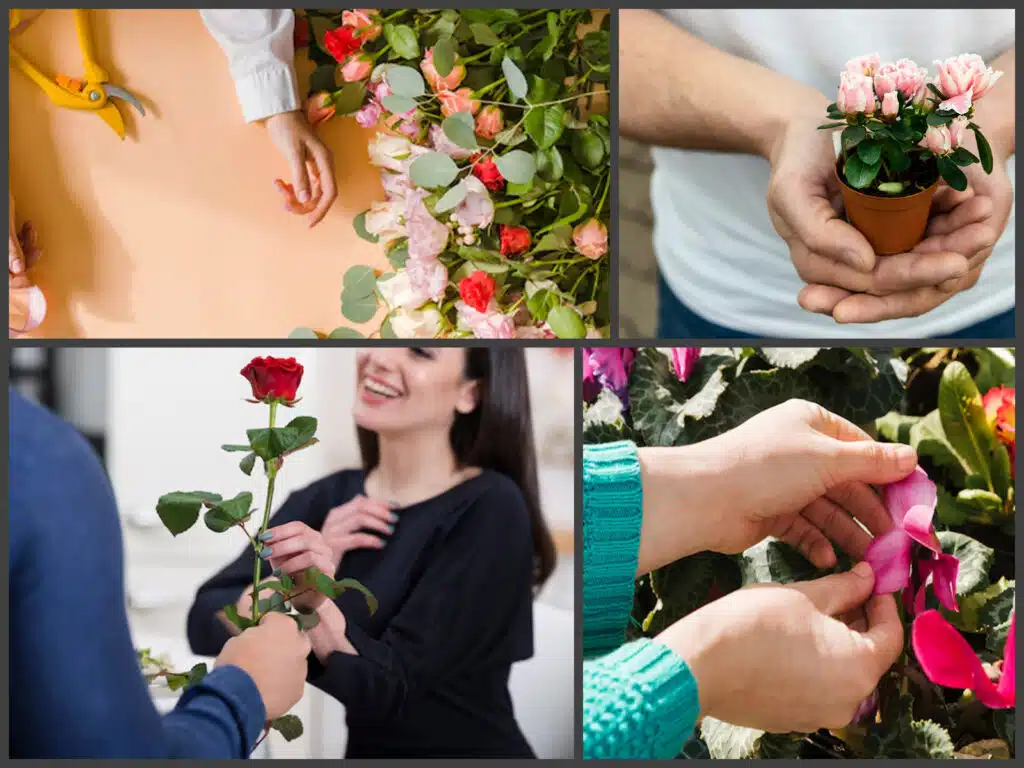 flower center