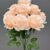 MA1255-71 Peach