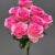 MA1255-71 Dark Fuchsia