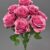 MA1255-71 Fuchsia