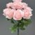 MA1255-71 Pink