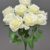 MA1255-71 White