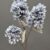 MA6429 Blue
