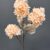 MA6429 Dark Peach