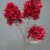 MA6429 Red